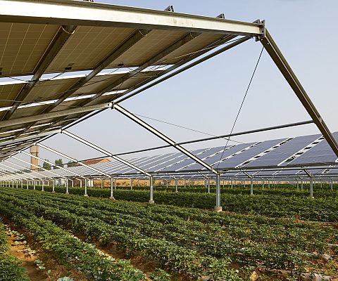 Grafika Systemy fotowoltaiczne dla gospodarstw rolnych